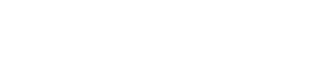 Mentoria NutriCEO